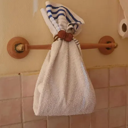 カントリーハウス Hospederia Dona Ligia