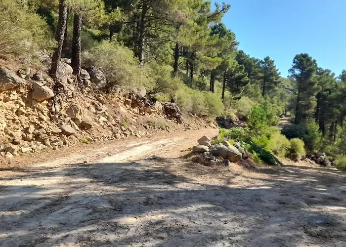 컨트리하우스 Hospederia Dona Ligia *