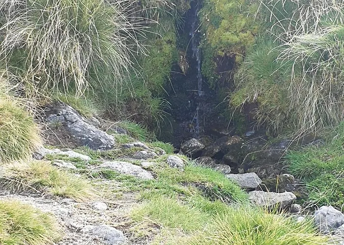 Hospederia Dona Ligia Mijares (Castile and Leon)