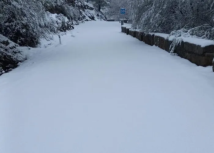 Hospederia Dona Ligia *