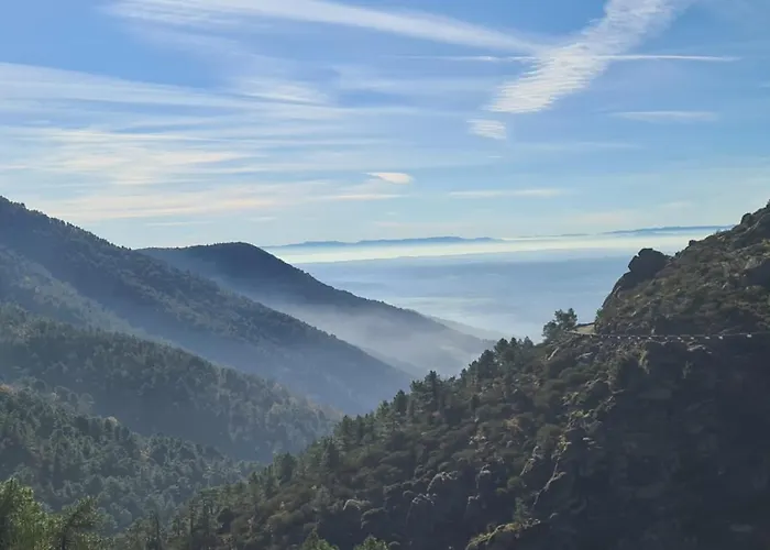 컨트리하우스 Hospederia Dona Ligia